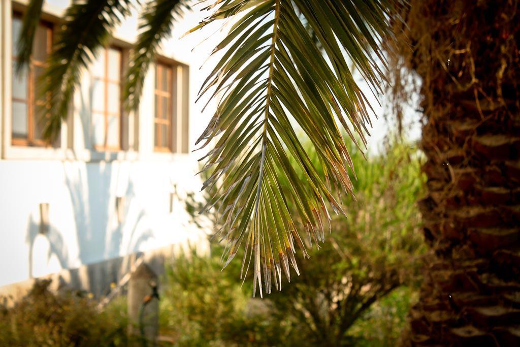 Cabeca Da Cabra Casa De Campo Porto Covo Dış mekan fotoğraf